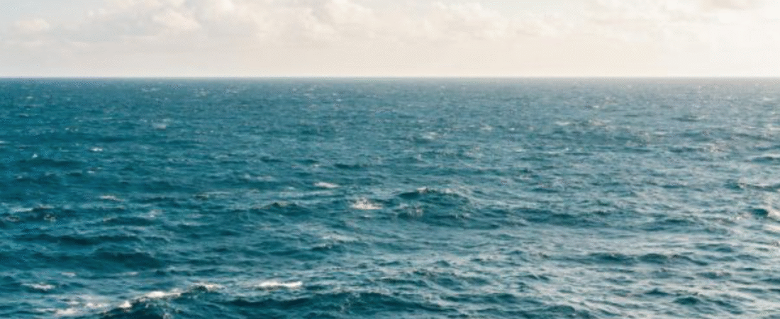 Le taux d’acidification des océans dépasse un seuil