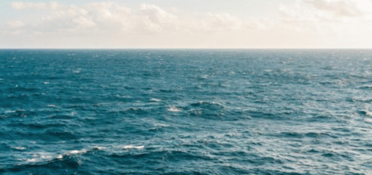 Le taux d’acidification des océans dépasse un seuil