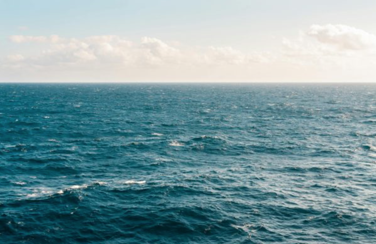 Le taux d’acidification des océans dépasse un seuil